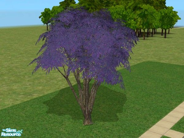 Sims 2 — Bay tree Recolors - Lavender by minsmusic — Lavender recolour of the maxis bay tree, grey bark.