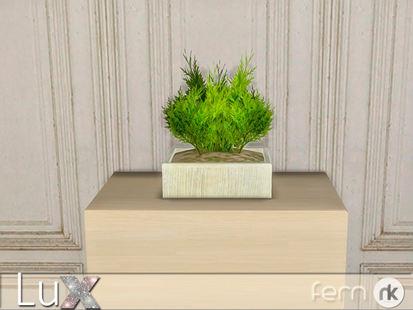 Sims 4 — Lux Living Fern by nikadema — A classic fern on a modern flowerpot. 