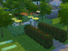 Sims 4 — Luna Park by bettynaaaa1 — It's a perfect place for your Sim to enjoy nature. In this park you can astonish