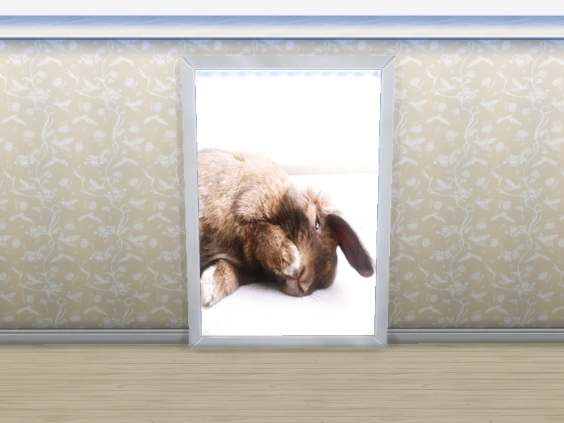 Sims 4 rabbit pet mod communityvsa