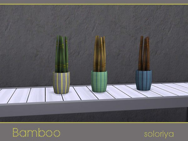 Sims 4 — Bamboo Plant by soloriya — Bamboo plant in a pot. 3 color variations. Part of Bamboo set. Category: Decorative -