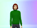 Sims 4 — KawaiiWalrus Knitted Sweater (Male) by KawaiiWalrus — A recolor/retexture of the EA christmas pack sweater! I