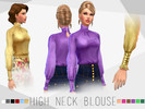 Sims 4 — Turtle Neck Blouse by MrCaliban — An elegant turtle neck blouse available in 12 colours. Custom Mesh