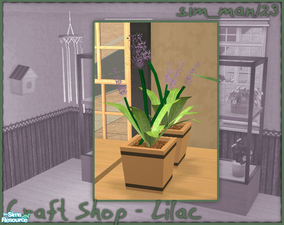 Sims 2 — Craft/Flower Shop - Lilac by sim_man123 — New lilac flower mesh from my Craft/Flower Shop set.