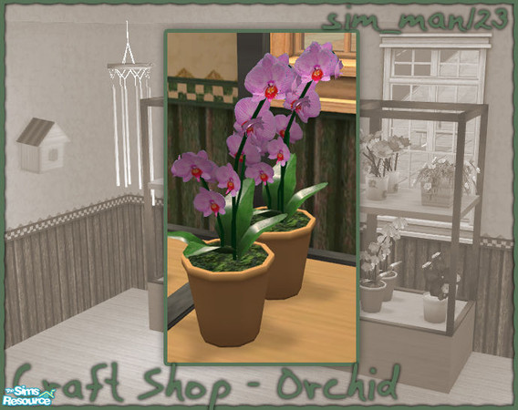 Sims 2 — Craft/Flower Shop - Orchid by sim_man123 — Orchid flower mesh from my Craft/Flower Shop set.