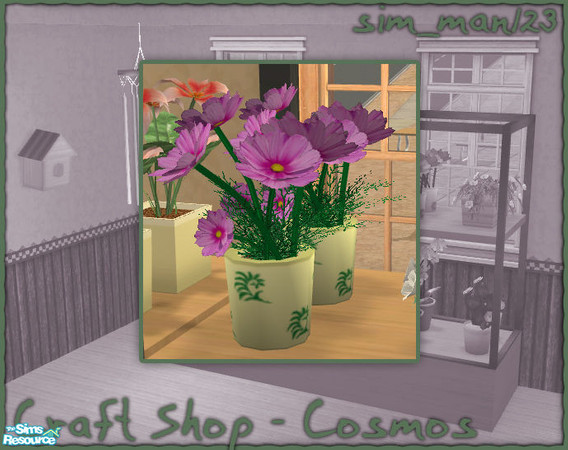 Sims 2 — Craft/Flower Shop - Cosmos by sim_man123 — New flower mesh, Cosmos. Part of my Craft/Flower Shop set.