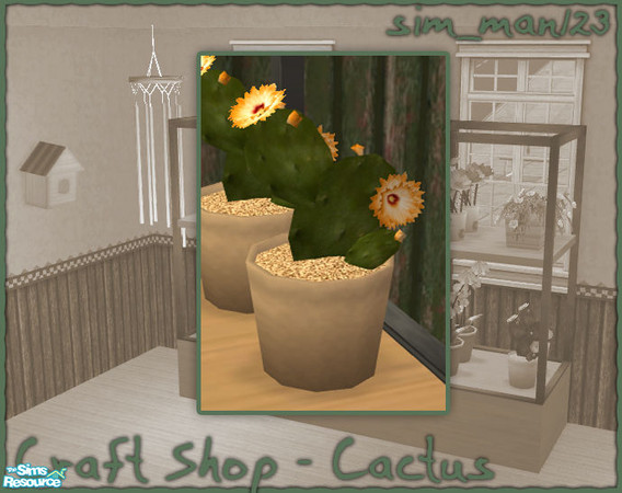 Sims 2 — Craft/Flower Shop - Cactus by sim_man123 — New cactus mesh, from my Craft/Flower Shop set.