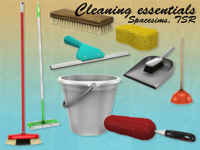spacesims' Cleaning essentials