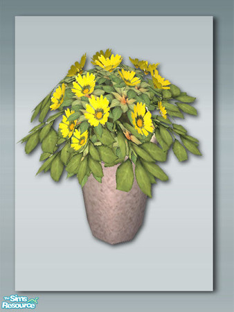 Sims 2 —  Blue - Plant 01 by Shakeshaft — Part of a recolour of my rustic kitchen in a blue wash with red gingham, great