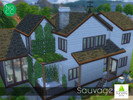 Sims 4 — Sauvage house by SundaysimsSA — This house is built in accordance with the luxuriant garden. She contains a big