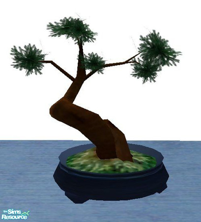 Sims 2 — Little Bonzai by RhondaBlonda — 
