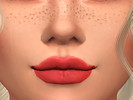 Sims 4 — TootMCTSims_Matte_Lipstick by TootMCTSims — A matte lipstick for the sims 4! Comes in 5 diffrent colors. Custom
