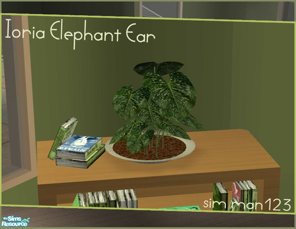 Sims 2 — Ioria Bedroom Add-ons - Elephant Ear by sim_man123 — Spotted elephant ear plant. Part of my Ioria Add-ons set.