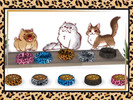 Sims 4 — Leopard Print Pet Food Bowl Recolor-REQIRES CATS & DOGS by MyDeerlingStudios — A food bowl recolor! Only