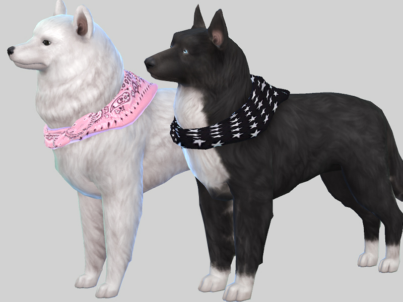 41 HQ Pictures Sims 4 Pet Cc / Flower Chamber: PET ME UP! Poses Sets • Sims 4 Downloads