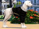 Sims 4 — Large Dog Parka Coats by simmerkate — Large Dog Parka Coats + Jumpers Cats and Dogs Expansion Pack Needed! 6