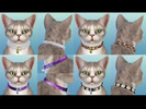 Sims 4 — Cat collar 4 recolors by EmilyTheZombie2 — 4 recolors of the EA cat collar! - silver glitter - leopard print -