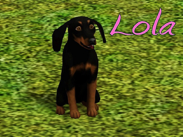 Sims 3 — Lola Dog by MissMoonshadow — Meet Lola, a beautiful female black and tan Dachshund. She is the boss, and don't