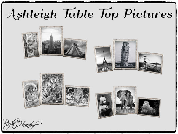 Sims 4 — Ashleigh Table Top Pictures by RightHearted — Bring some life to your home with these nice looking table top