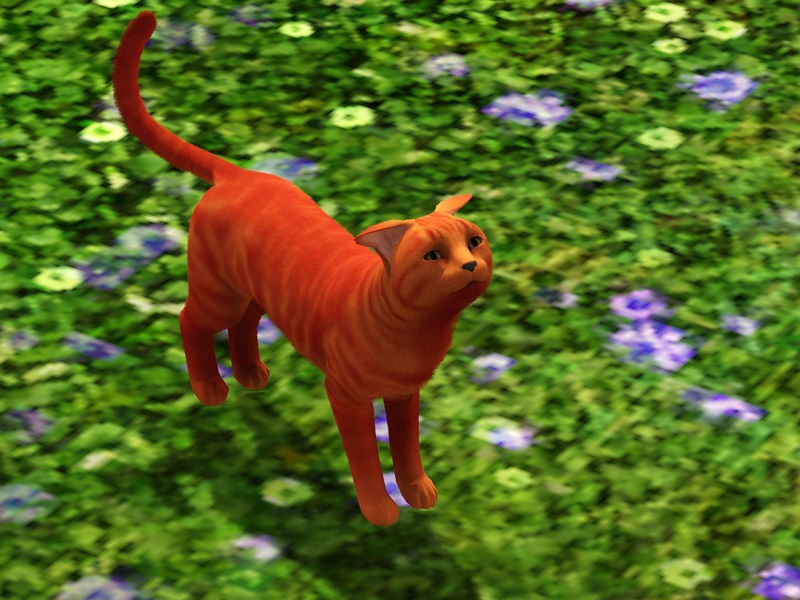 The Sims Resource Dizzy Cat