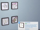 Sims 4 — Framed Pressed Flowers (recolor) by paperbag — Framed pressed flowers. Small paintings that hang on the wall. My