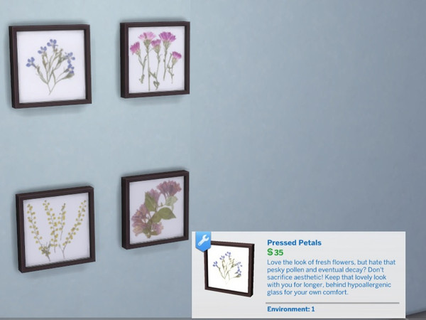 Sims 4 — Framed Pressed Flowers (recolor) by paperbag — Framed pressed flowers. Small paintings that hang on the wall. My