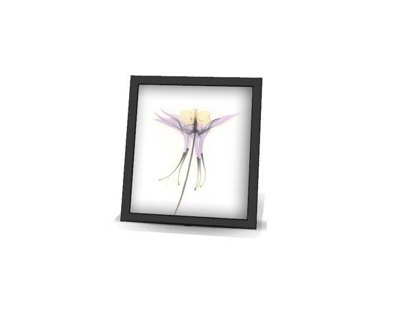 Sims 4 — Abigail Bathroom Picture by Angela — Abigail Bathroom Picture. 