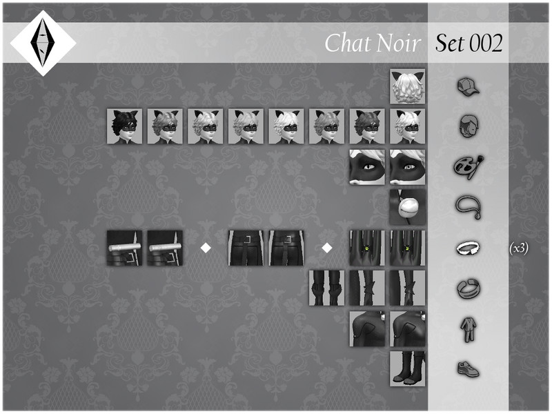 Aleniksimmers Chat Noir Set002 Ring Miraculous