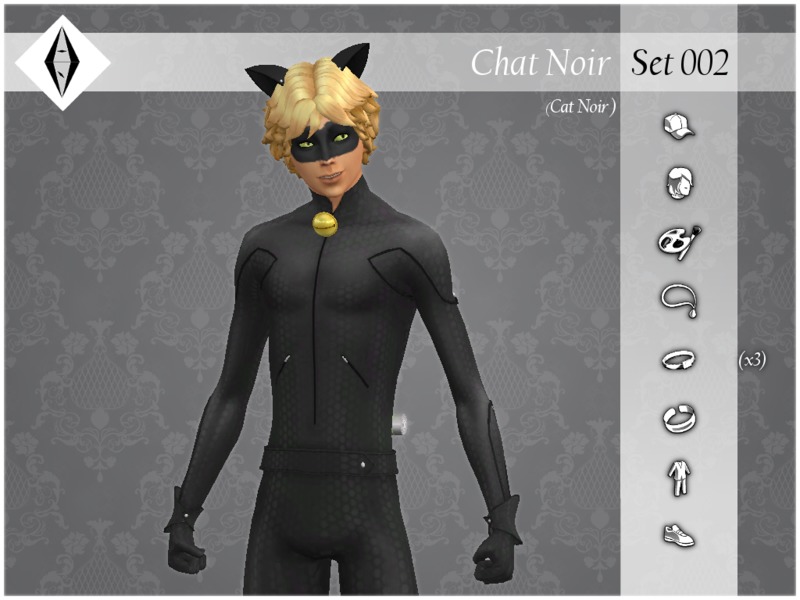 Noir chat Chat Noir