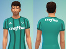 Sims 4 — Camisa Palmeiras by Matheus720 — Camisa Time: Palmeiras (2017) 