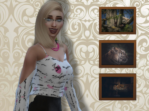 Sims 4 — Framed Wildlife Pictures by mick5000 — Made using pictures I took at a wildlife park. There is a Tiger, Red