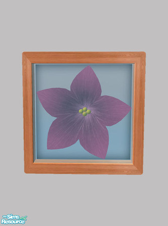 Sims 2 — Nature's Art - Flower 03 by Shakeshaft — Part of a set of wall mounted Flower and Leaf relief art, set includes