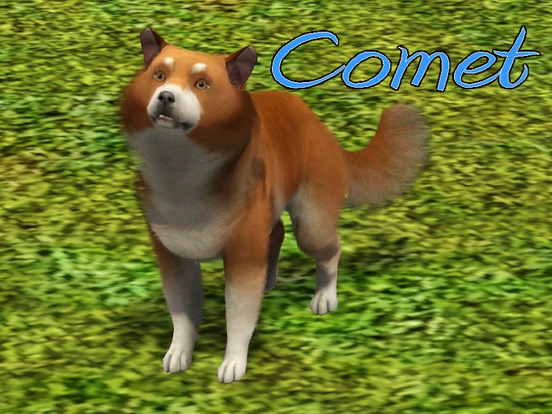 The Sims Resource Comet Dog