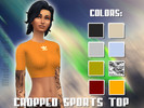 Sims 4 — Cropped Top - (Adi***) Sports Top - Mesh needed by ErolKa — Here is my Custom Texture for the Mesh of the