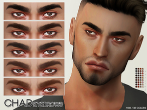 Sims 4 — Chad Eyebrows N136 by Pralinesims — Eyebrows in 36 colors.