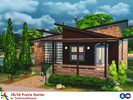 Sims 4 — 2B/1R Prairie Starter by TheDismalSimmer — A small, simple starter home built using a mix between modern and