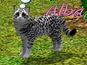 Sims 3 — Alba Cat by MissMoonshadow — Meet Alba, a beautiful female white and black cat. She is one of the sweetest,