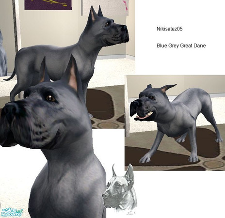 Sims 2 — Blue Grey Great Dane by nikisatez05 — 