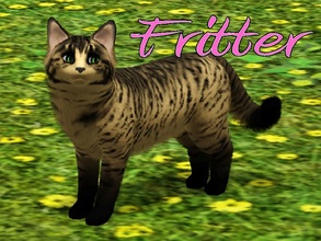 Sims 3 — Fritter Cat by MissMoonshadow — Meet Fritter, a beautiful female yellow and black cat. She, like many kitties,