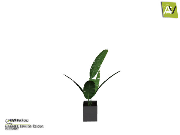 Sims 4 — Garner Plant by ArtVitalex — - Garner Plant - ArtVitalex@TSR, Nov 2018