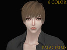 Sims 4 — PALACESIMS_M1217_HAIR by Palace_Sims — Hope you like this!!!!