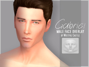 Sims 4 — Gabriel - face overlay by WistfulCastle — Gabriel - realistic face overlay for male sims. Located in Skin