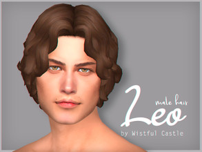 Sims 4 — Leo - male hair by WistfulCastle — Leo - male hair, made from EA mesh. From Teen to Elder. Includes 24 swatches,