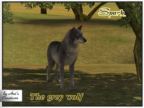 Sims 3 — Spark - the grey wolf by Ani's Creations by AniFlowersCreations — This wolf is truly domesticated. He is very