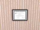 Sims 4 — University Degree by briannalvf — Want to display your sim's academic excellence? Now you can with a replica