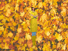 Sims 4 — CAS Background Autumn Colours Bright by ezzking100 — Hey! I Love You The Sims 4 