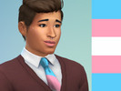 Sims 4 — Pride Ties by unluckii-mage — Base game mesh recolour, includes the following flags: Trans Nonbinary Genderfluid