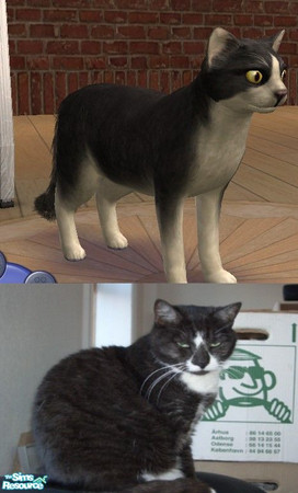 Sims 2 — Jd Musse the cat by jdamgaard — I tried to make a Sims version of my cat Musse. It did not come out entirely