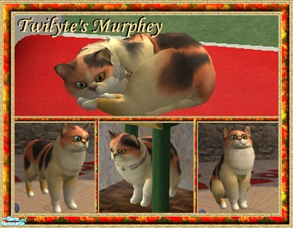 Sims 2 — Twilyte's Cats - Murphey by Twilyte — This is Murphey, the tailless wonder. She's bright when she wants to be,
