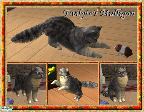 Sims 2 — Twilyte's Cats - Mulligan by Twilyte — Meet Mulligan, a gentleman's gentle-cat. Furry and handsome, this young